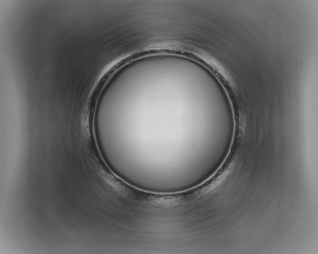 X0000112040830200908171509