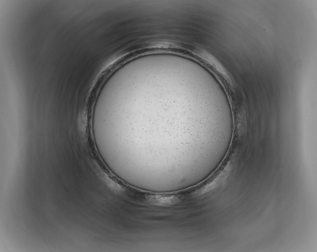 X0000112040831200908171509