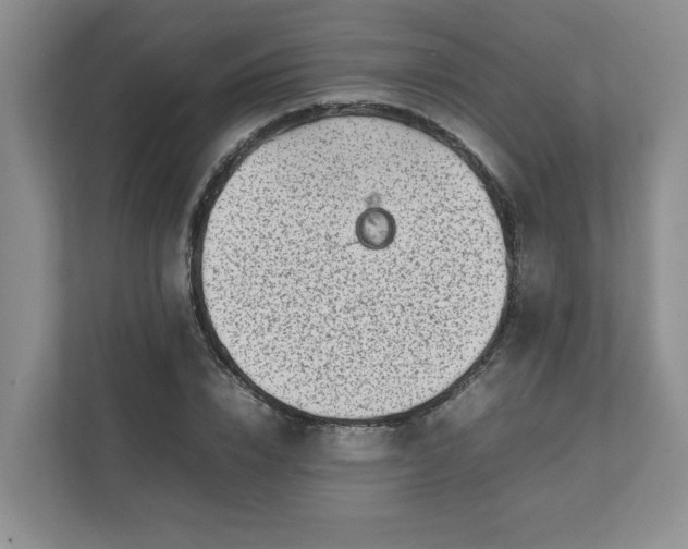X0000112040832200908171509