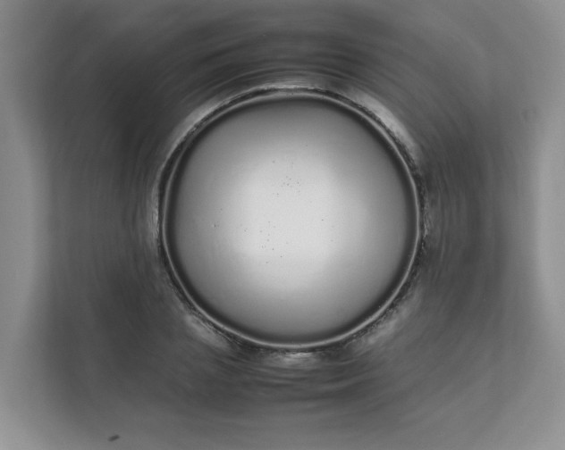 X0000112040837200908171509