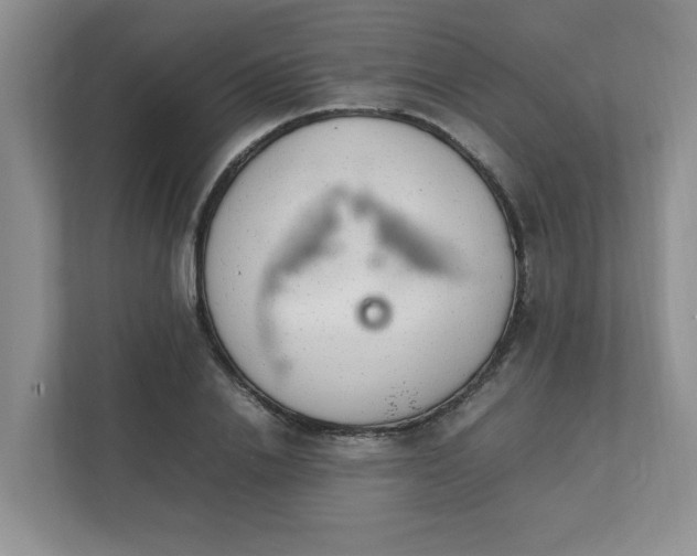 X0000112040838200908171509