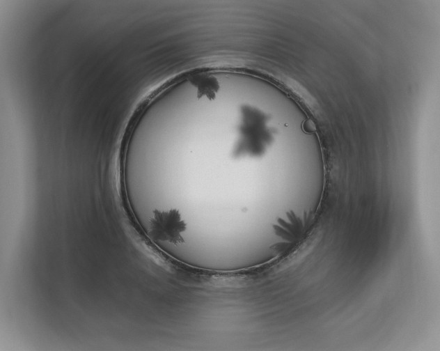 X0000112040840200908171509