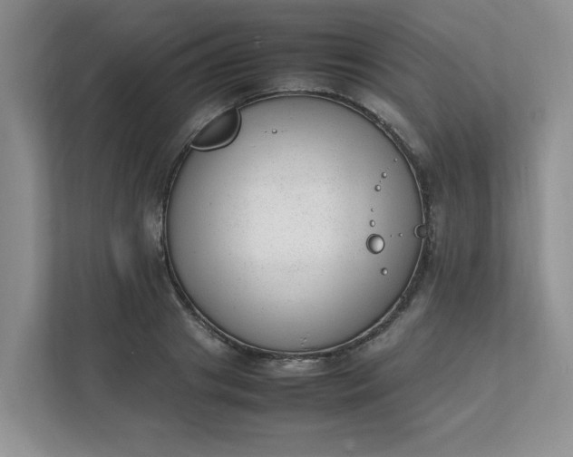 X0000112040841200908171509