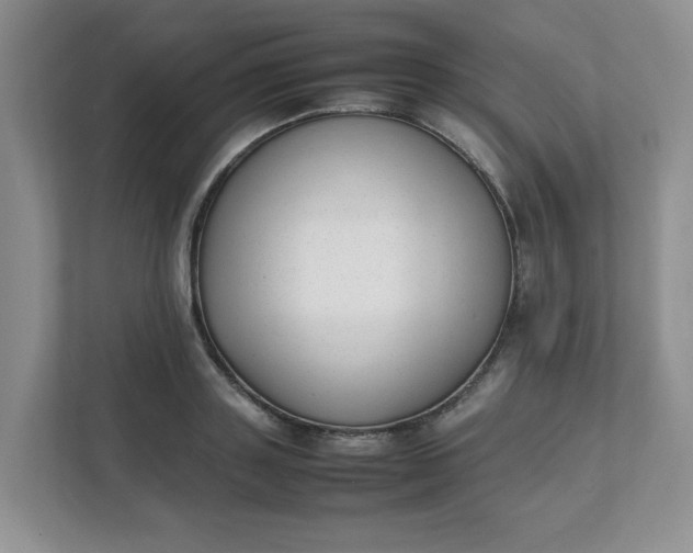 X0000112040843200908171509