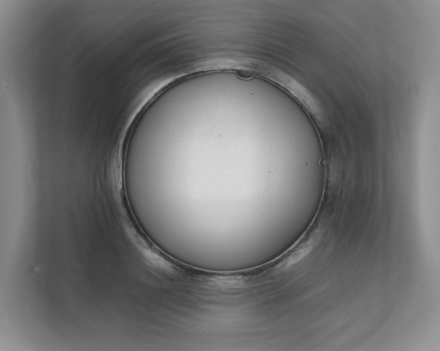 X0000112040844200908171509