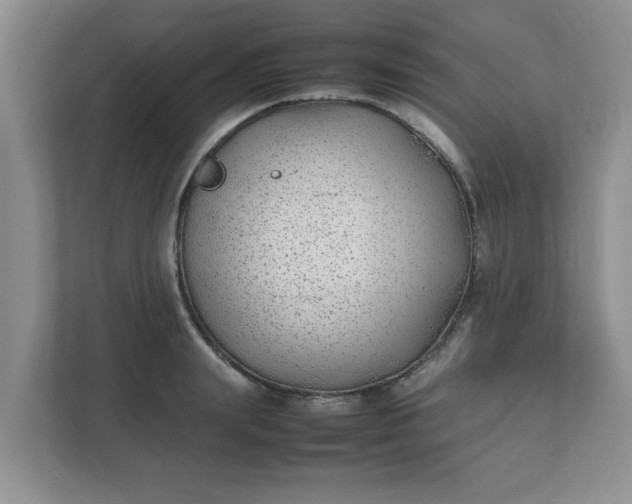 X0000112040847200908171509