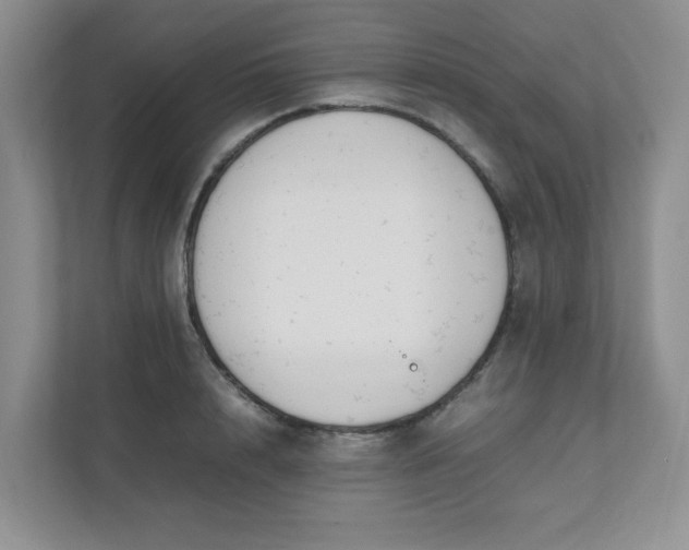 X0000112040848200908171509