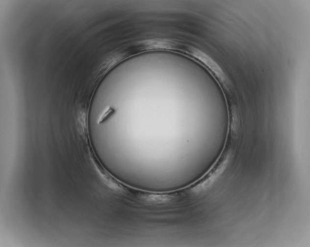 X0000112040849200908171509