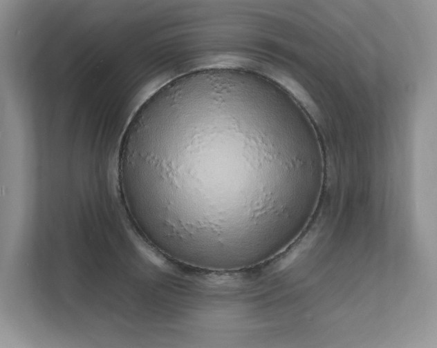 X0000112040850200908171509