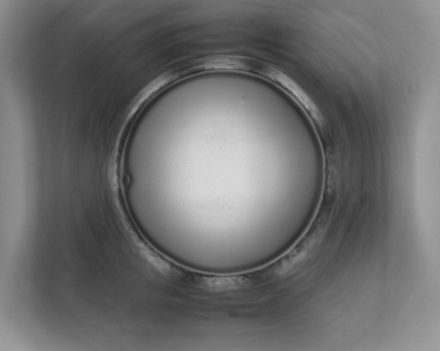 X0000112040853200908171509