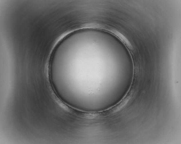 X0000112040854200908171509