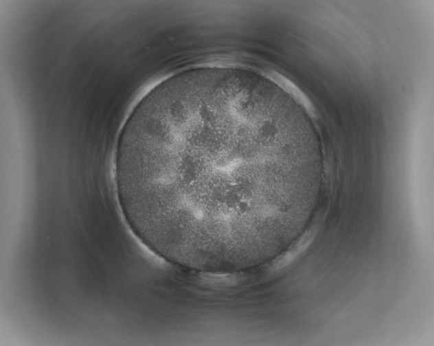 X0000112040855200908171509