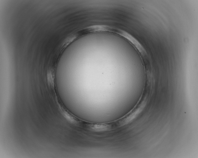 X0000112040857200908171509
