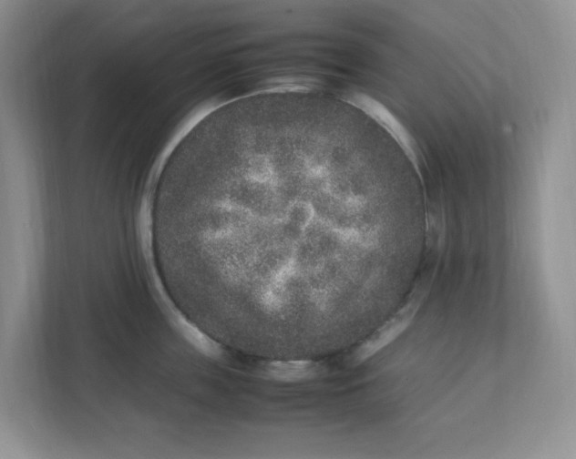 X0000112040859200908171509