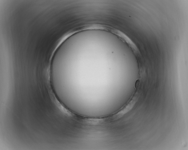 X0000112040860200908171509