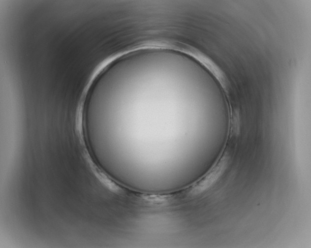 X0000112040862200908171509