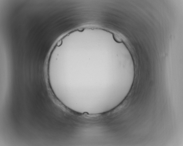 X0000112040864200908171509
