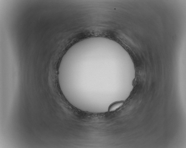 X0000112040865200908171509