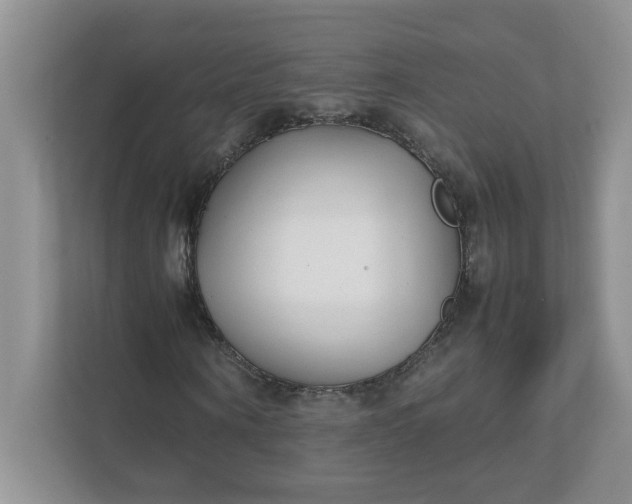 X0000112040866200908171509