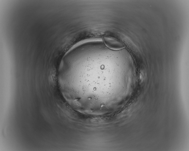 X0000112040867200908171509