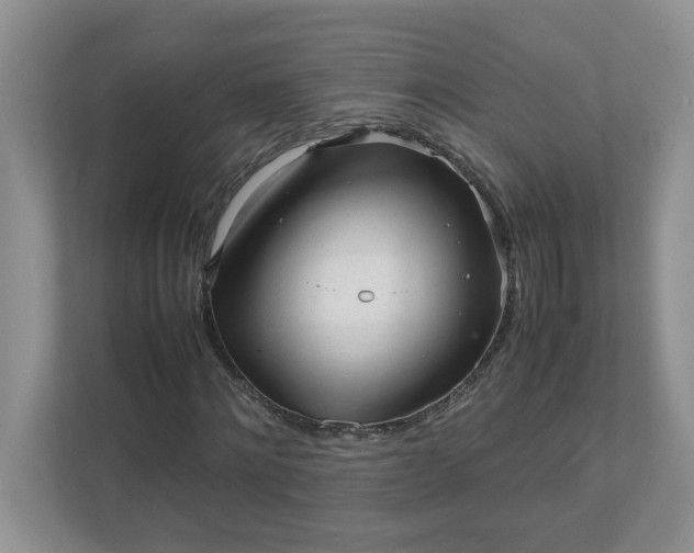 X0000112040868200908171509