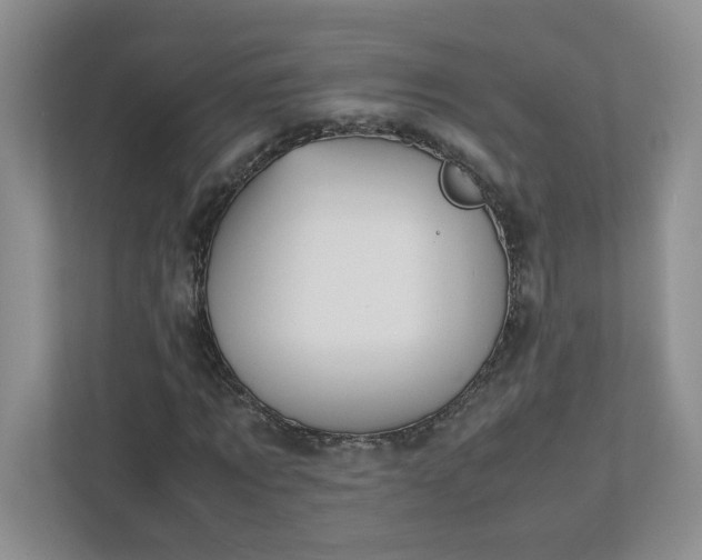 X0000112040869200908171509