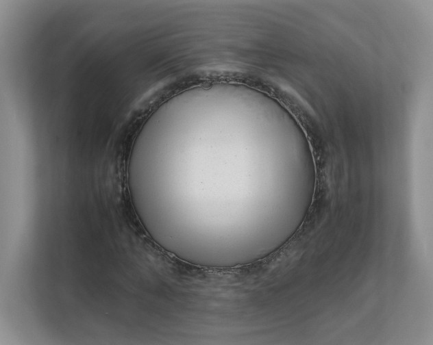 X0000112040870200908171509