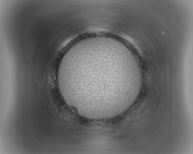 X0000112040871200908171509