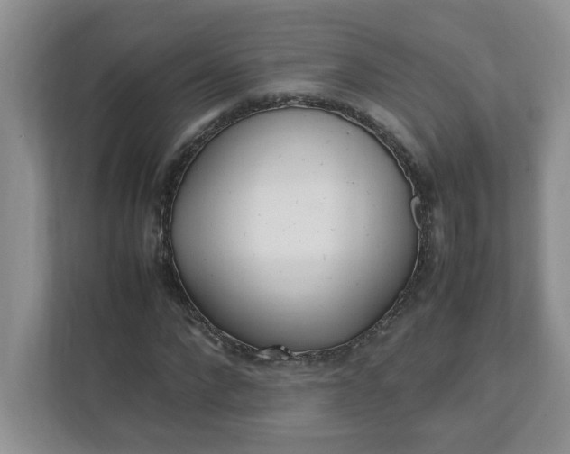 X0000112040872200908171509