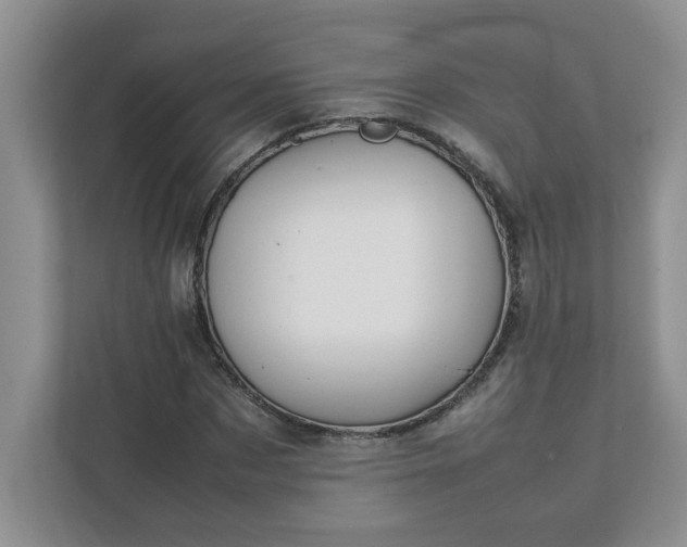 X0000112040873200908171509