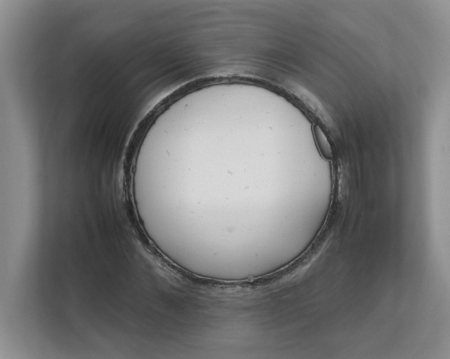 X0000112040876200908171509