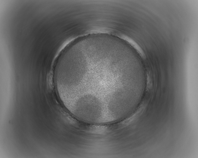 X0000112040878200908171509