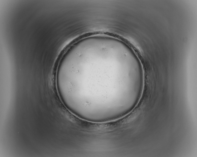 X0000112040879200908171509