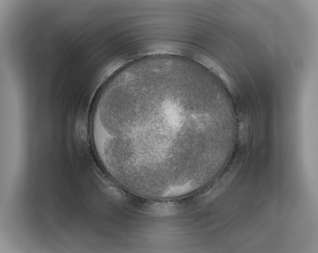 X0000112040882200908171509