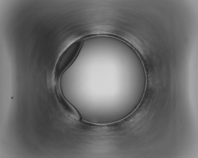 X0000112040885200908171509