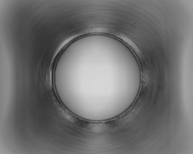 X0000112040886200908171509