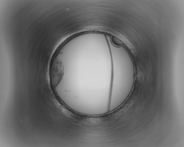 X0000112040888200908171509