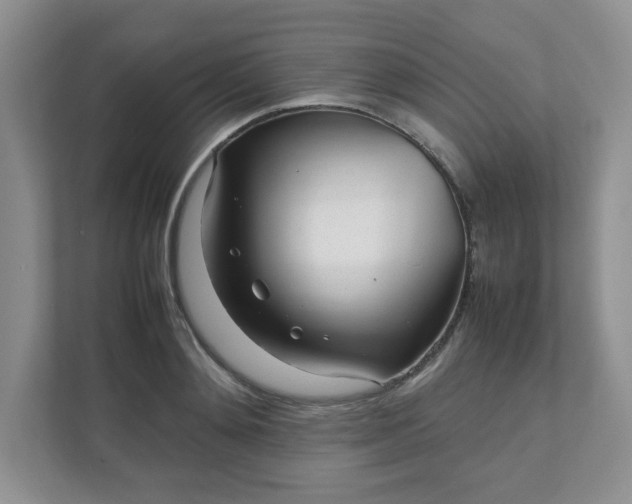 X0000112040892200908171508