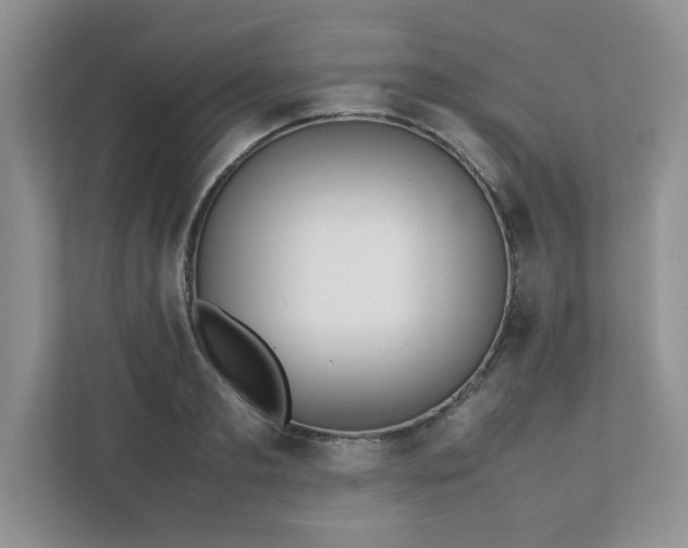 X0000112040893200908171508