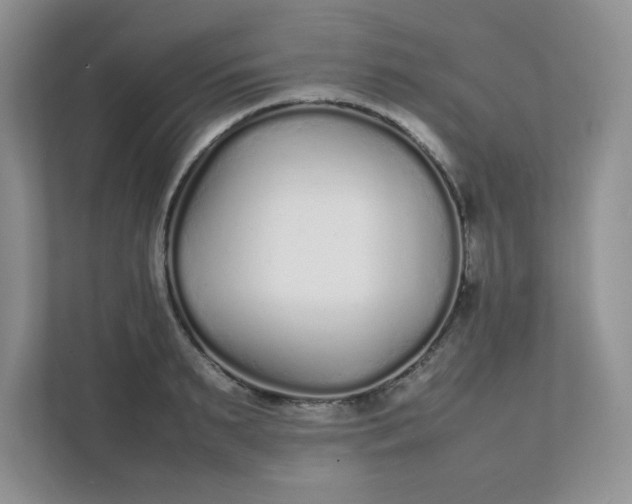 X0000112040895200908171508