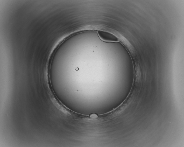 X0000112040896200908171508