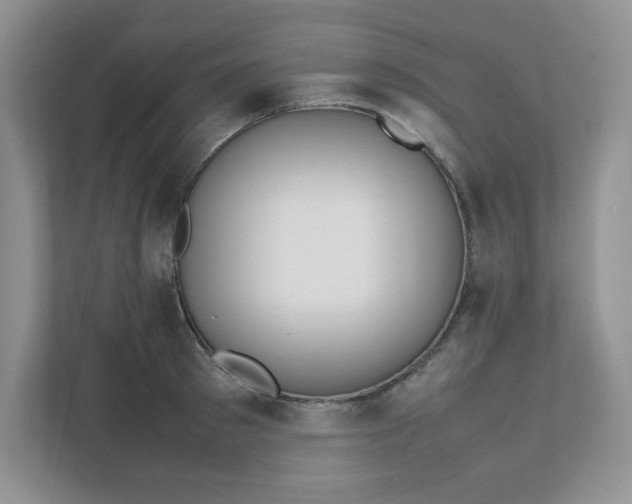 X0000112040897200908171508