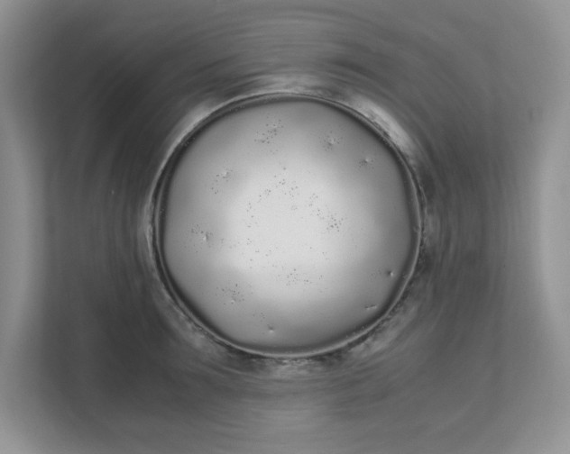 X0000112040899200908171508