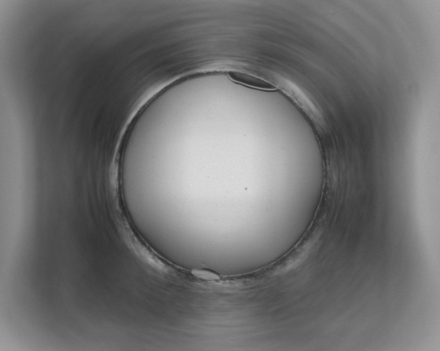 X0000112040900200908171508
