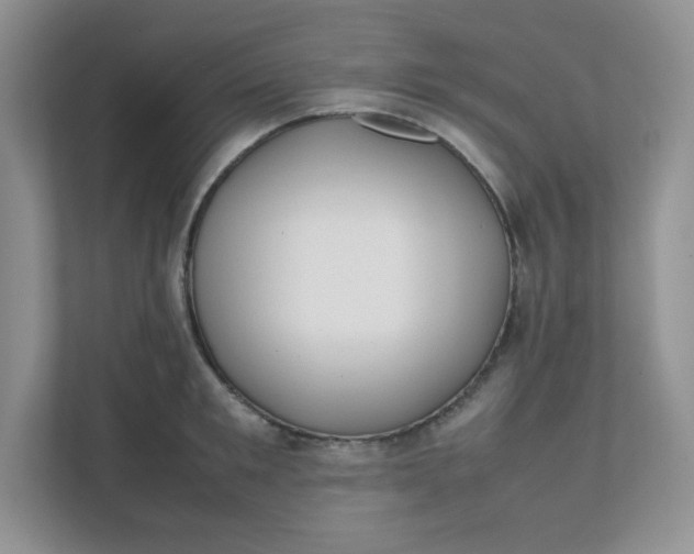 X0000112040901200908171508