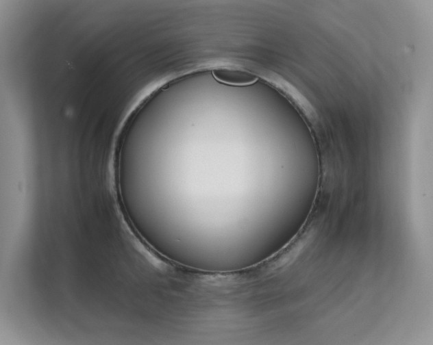 X0000112040902200908171508