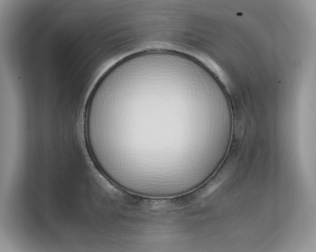X0000112040903200908171508