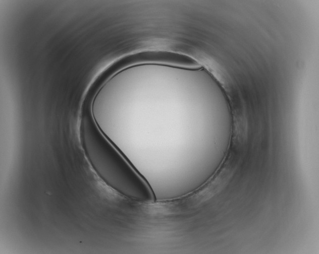 X0000112040904200908171508