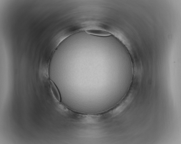 X0000112040905200908171508