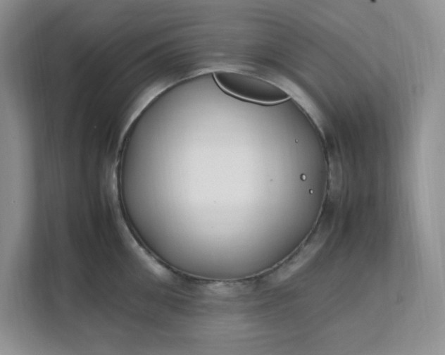 X0000112040906200908171508
